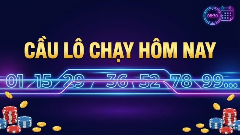 cau-lo-chay-hom-nay